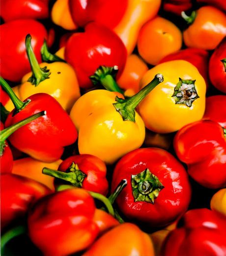 A Hyper-Realistic Photo Of Chili pepper