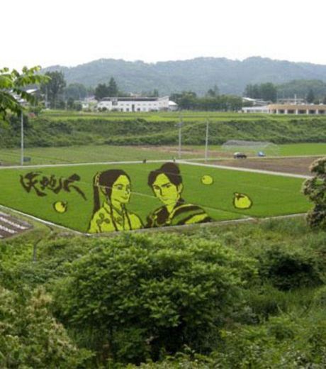 Figure 6: A Rice Field With Image Of A Couple
