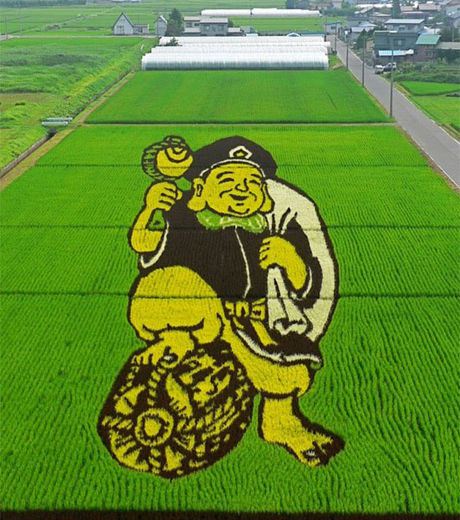 Figure 13: A Rice Field With An Artistic Image