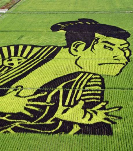 Figure 5: A Rice Field With Image Of A Man In Traditional Dress