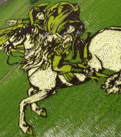 Figure 4: A Rice Field With Image OF A Mounted Samurai