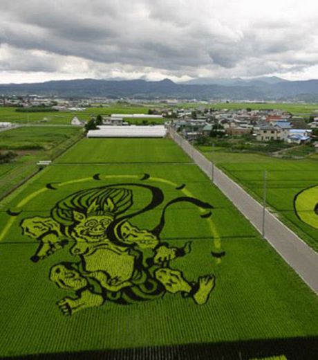 Figure 11: A Rice Field With An Image Of A Monster