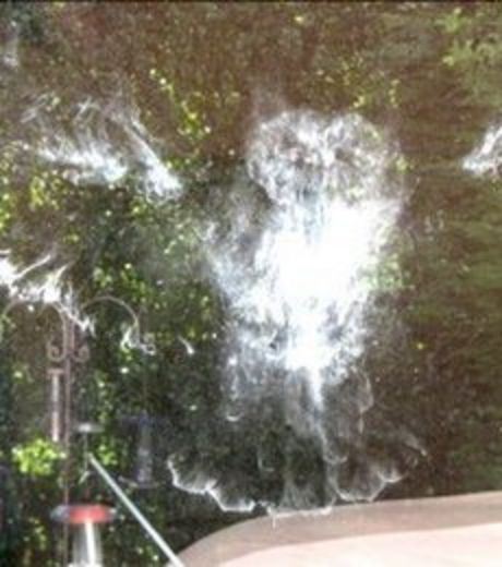 No, it is not an appearance of a ghost of an owl goal. Infact, It is the real track of the Bird that landed on the windshield of a car.