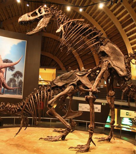 These Dinosaurs Skeletons Were Found In The Same Way
