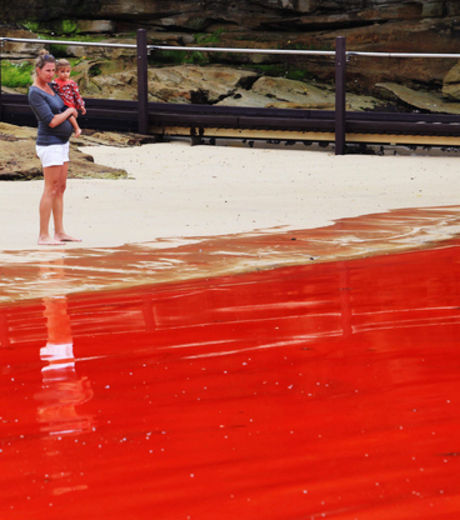 The Red Tides
