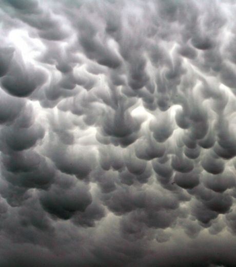 The Fluffy Clouds