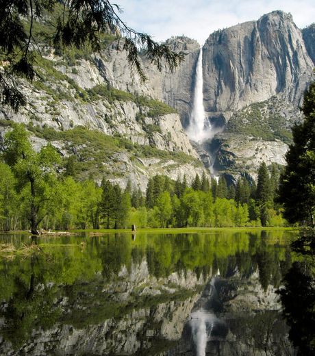 Yosemite National Park - United State