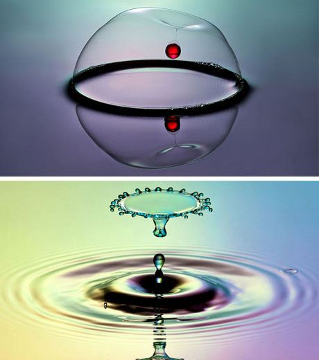 The Amazing Water Droplet Photo (Credit Corrie White)