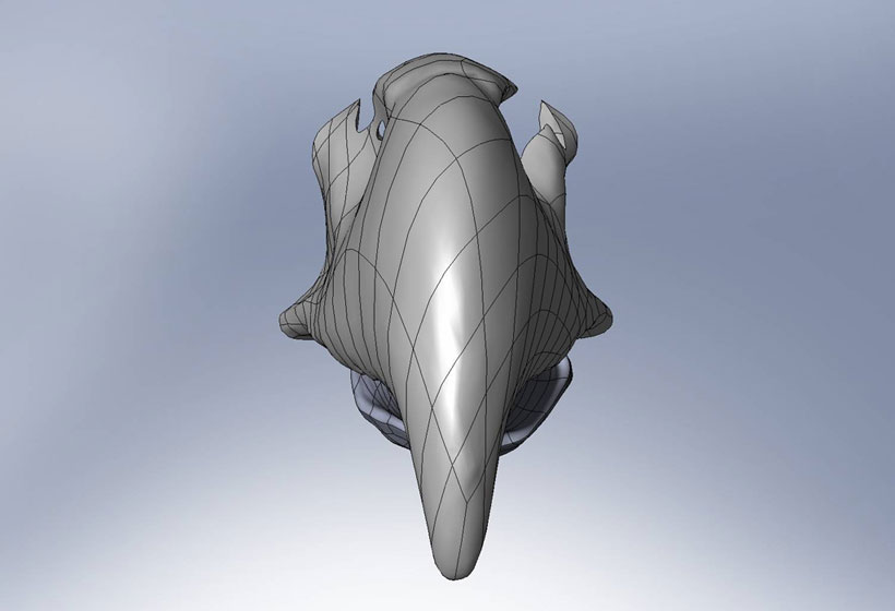 The Design Of the 3D Beak