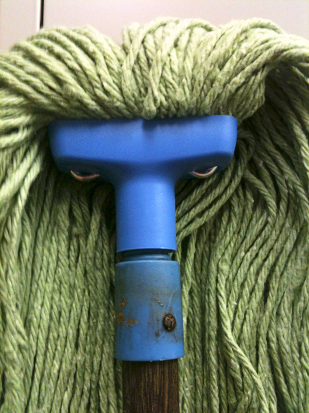 Face In A Broom