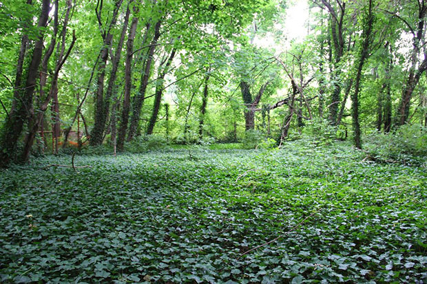 The tennis court of the island.
