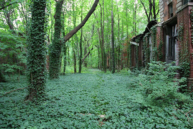 An abandoned island in New York