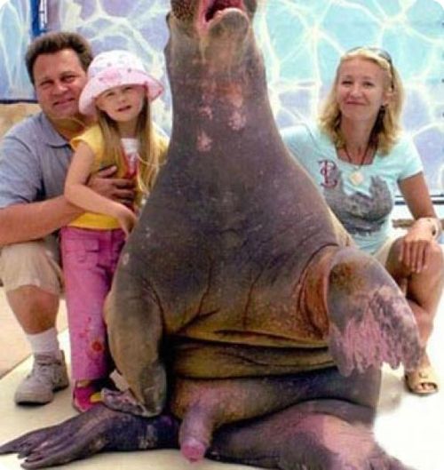 Cool And Funny Family Photo