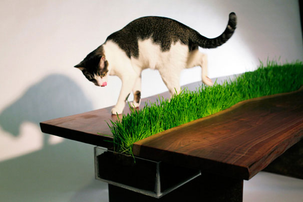 Movable table with Plants by  Emily Wettstein