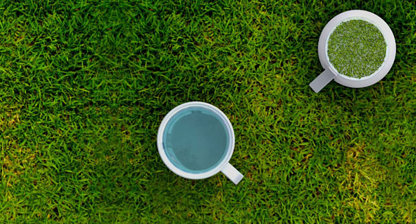 Grass cup by Kim Jinsik