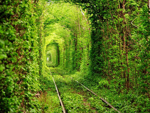 Tunnel Of Love, Klevan, Ukraine