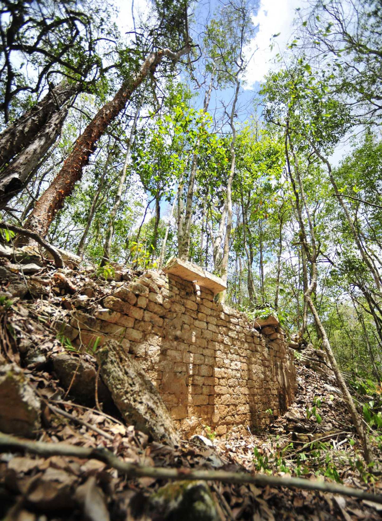 INAH handout photo shows the remains of a building at the newly discovered ancient Maya city Chactun in Yucatan peninsula