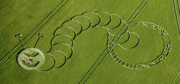 Most beautiful crop circles