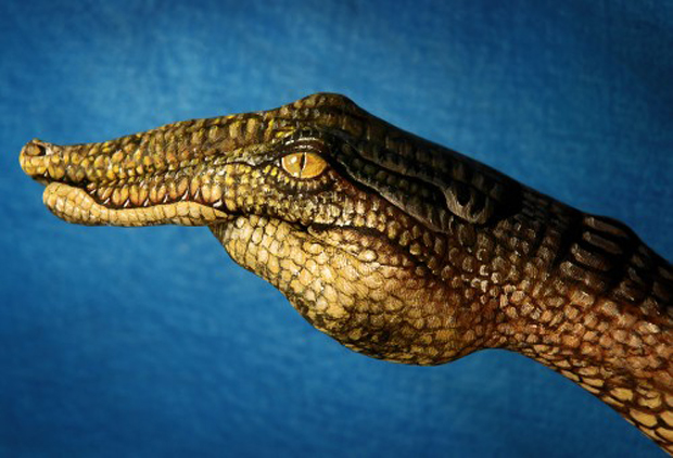 Crocodile2-Guido Daniele Ultra Realistic Hand Painting