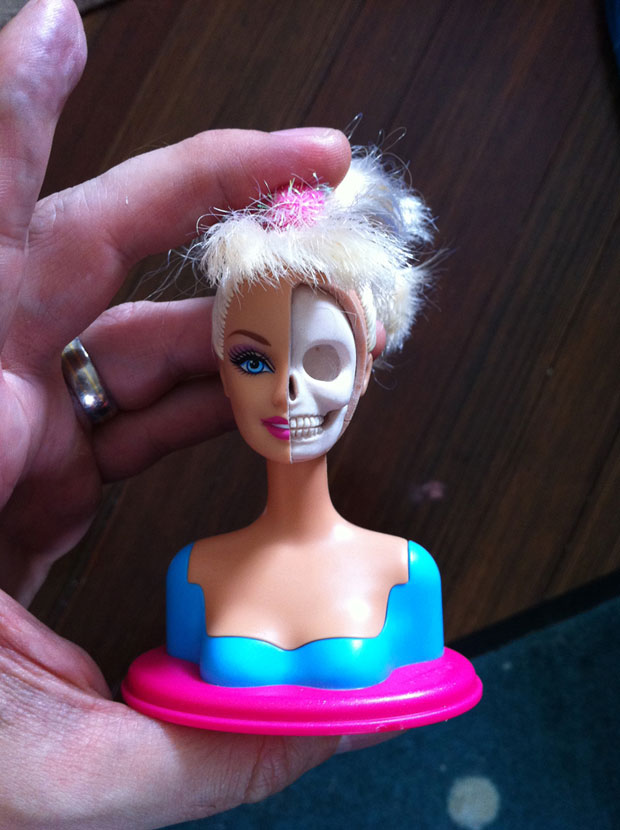 Dissected Anatomy Model Of A Barbie Doll