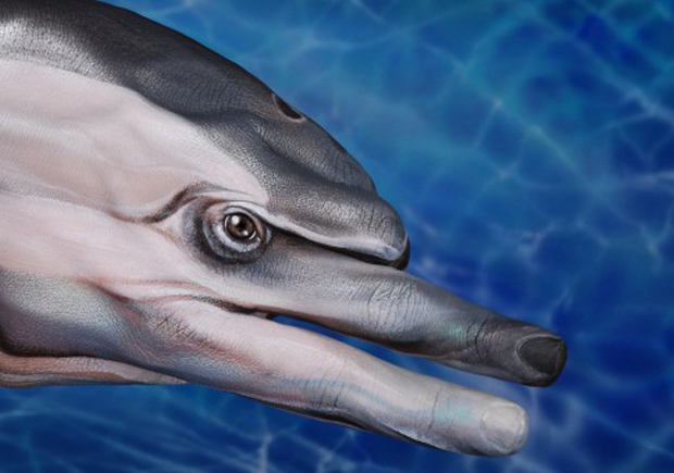 Dolphin1-Ultra Realistic Hand Painting