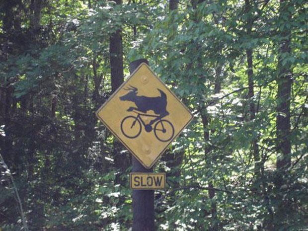 Funny Slow Sign
