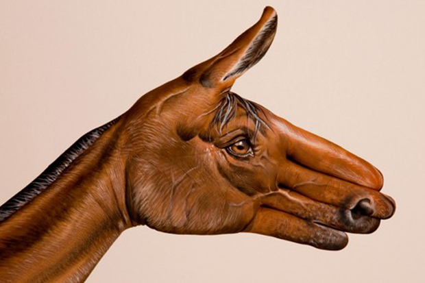 Horse-Brown-on-white1-Ultra Realistic Hand Painting