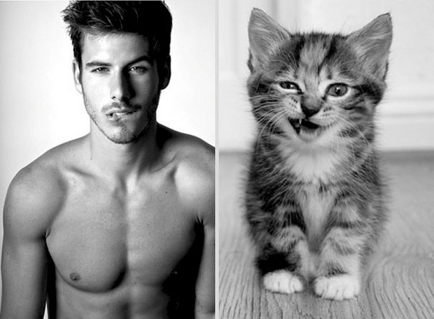 Girls Love To See Men And Kitten Together