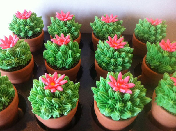 A cactus without thorns