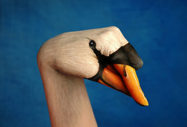 Swan-Regal-Swan1-Ultra Realistic Hand Painting