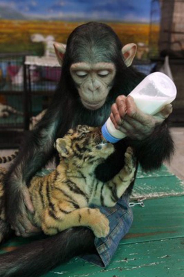 Touching Moments-Unlikely pair of best friends