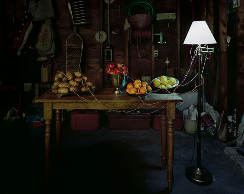 illuminating lamp through fruits and potatoes