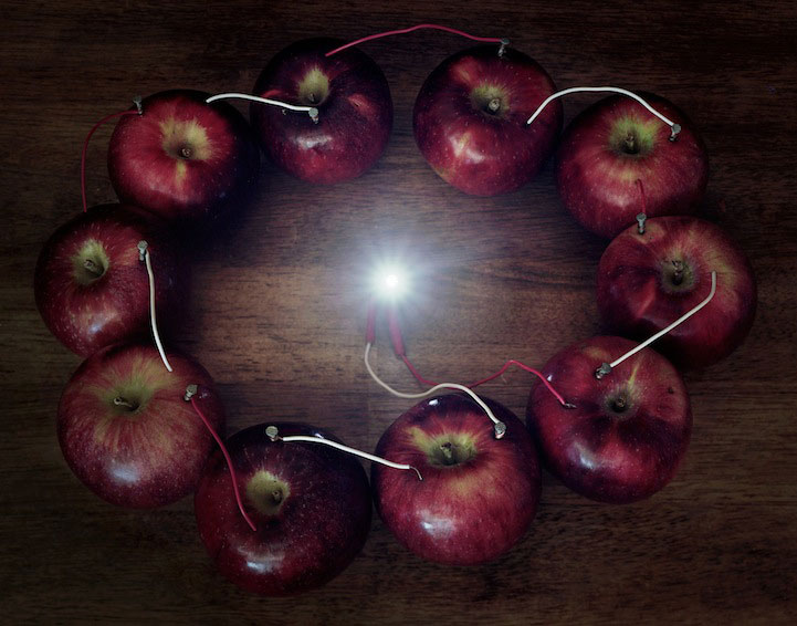 illuminating bulbs through apples
