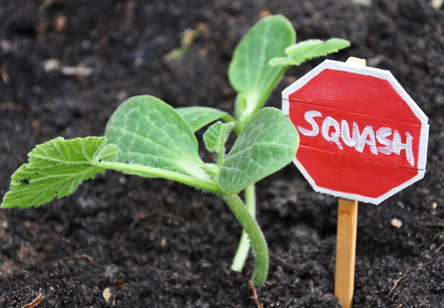 Make plant markers for your garden