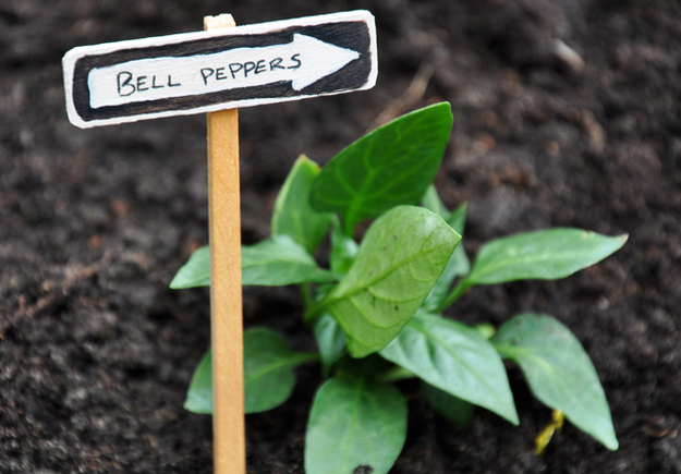 Make plant markers for your garden