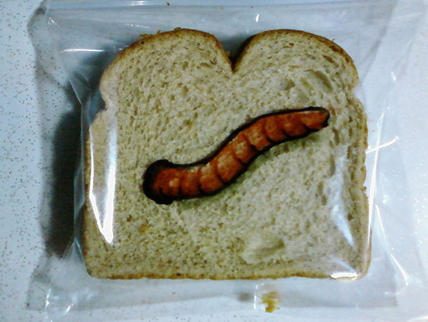 a worm design on a sandwich