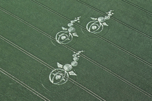 Most beautiful crop circles