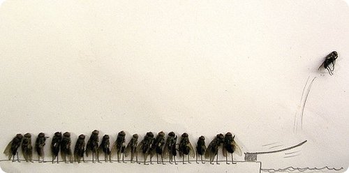 Artworks Created Using Dead Flies And Pencil Drawing