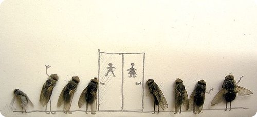 Artworks Created Using Dead Flies And Pencil Drawing