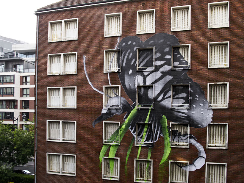 A Parisian Artist Combining Nature and Technology For His Street Artwork (Photo Gallery)