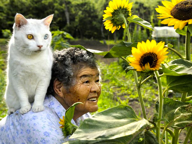 Amazing Love Friendship: Misao, the Big Mama and Fukumaru cute cat