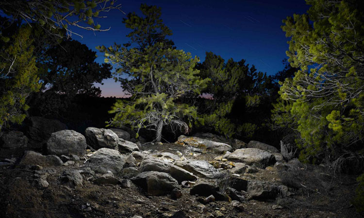 Harold Ross: The Night Scenery Made Surreal Using LED Light