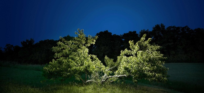Harold Ross: The Night Scenery Made Surreal Using LED Light