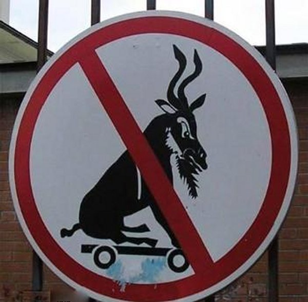 Forbidden to dress as a ram and skateboarding