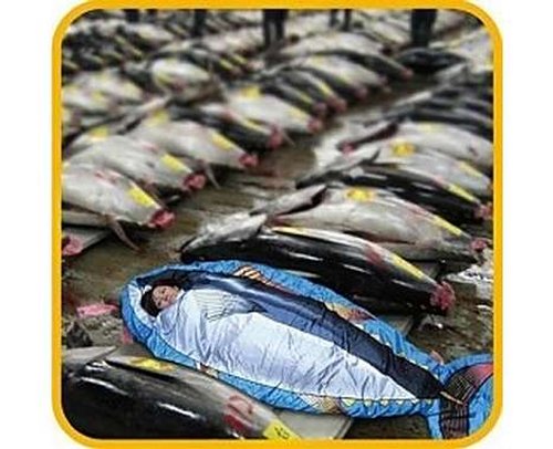 Tauna Fish-The Cocoon-Most Original Sleeping Bag Designs