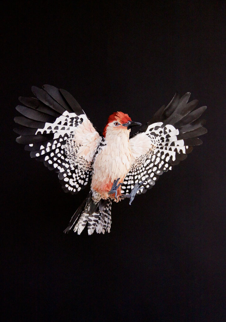 Amazing Colorful Birds Made Entirely Of Paper