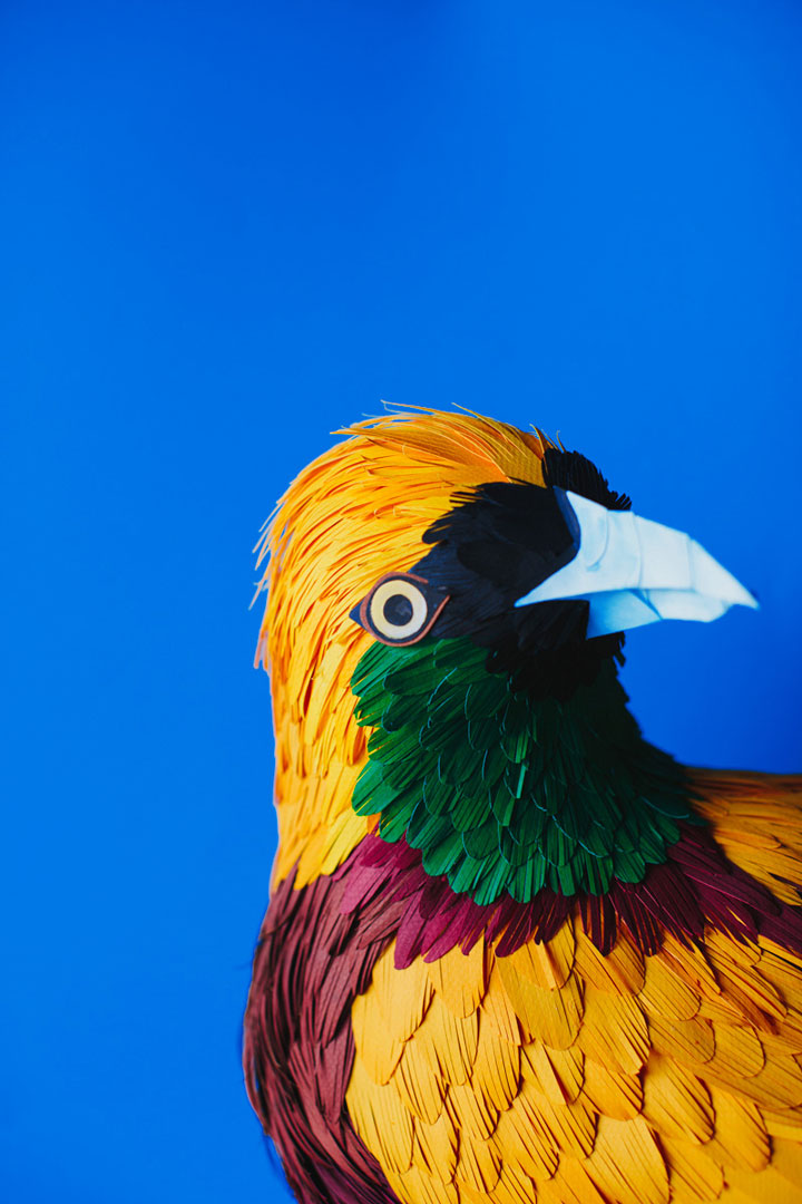 Amazing Colorful Birds Made Entirely Of Paper