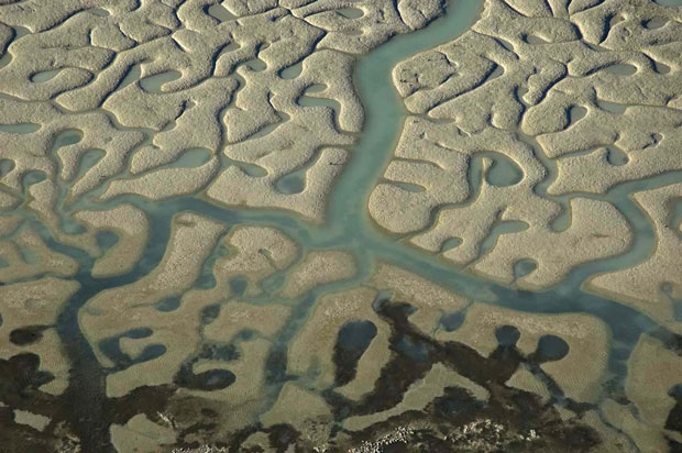 Doñana National Park in Andalusia (Spain)-Incredible Examples Of Fractals Found In Nature