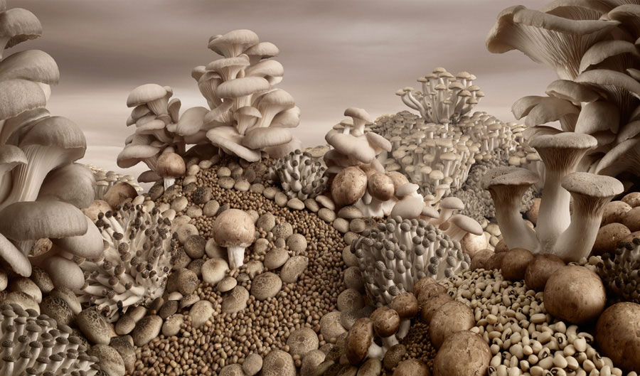 Carl Warner-Surreal Landscapes Created Exclusively With Food