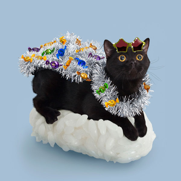 Sushi Cats: The New Crazy Fashion In Japan That Turns Your Poor Kitties Into Food